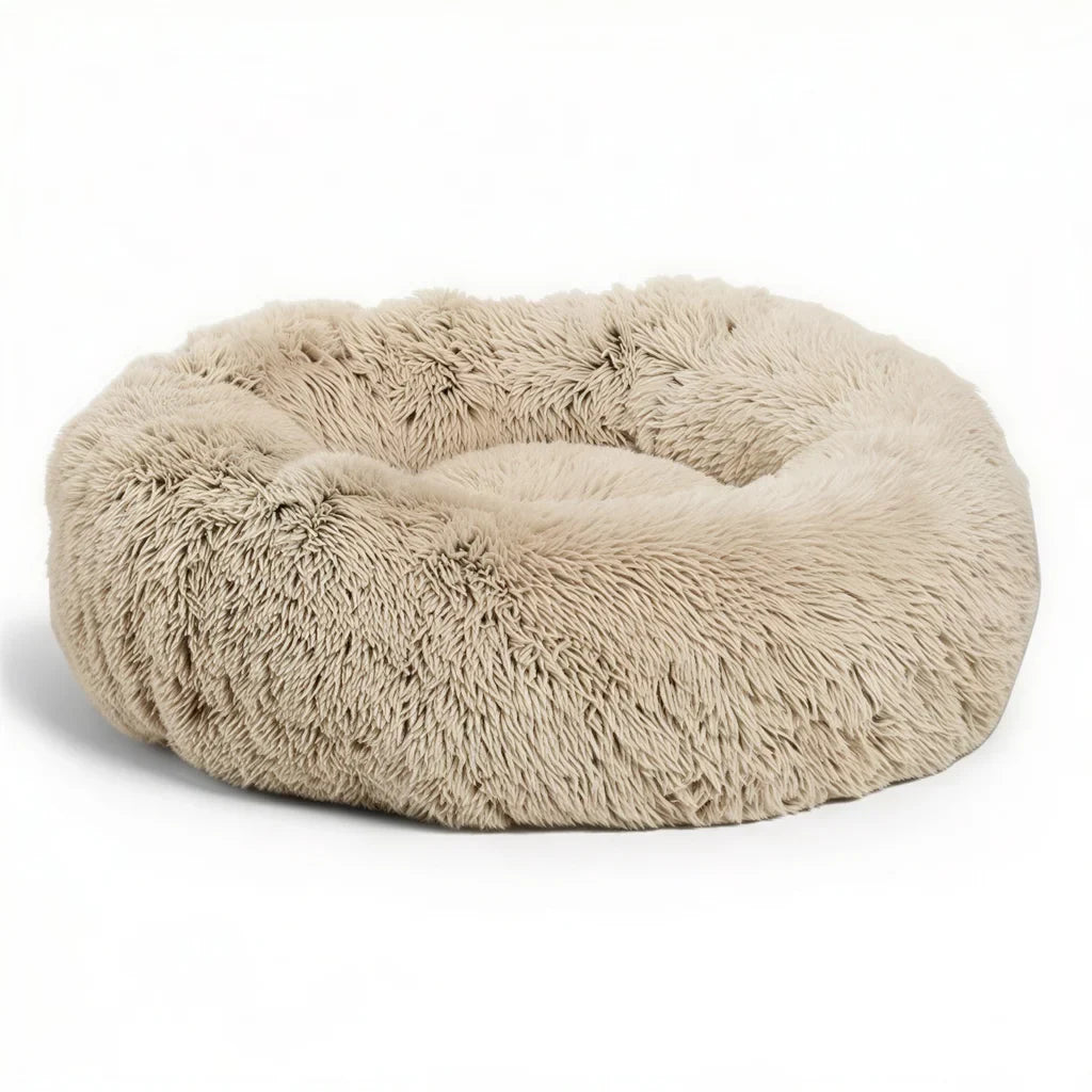 https://cdn.shopify.com/s/files/1/0853/2266/2128/files/c7a957cf-424f-4ec3-8942-68f0da984383.webp?v=1786295925