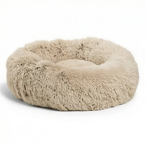 https://cdn.shopify.com/s/files/1/0853/2266/2128/files/c7a957cf-424f-4ec3-8942-68f0da984383.webp?v=1786295925